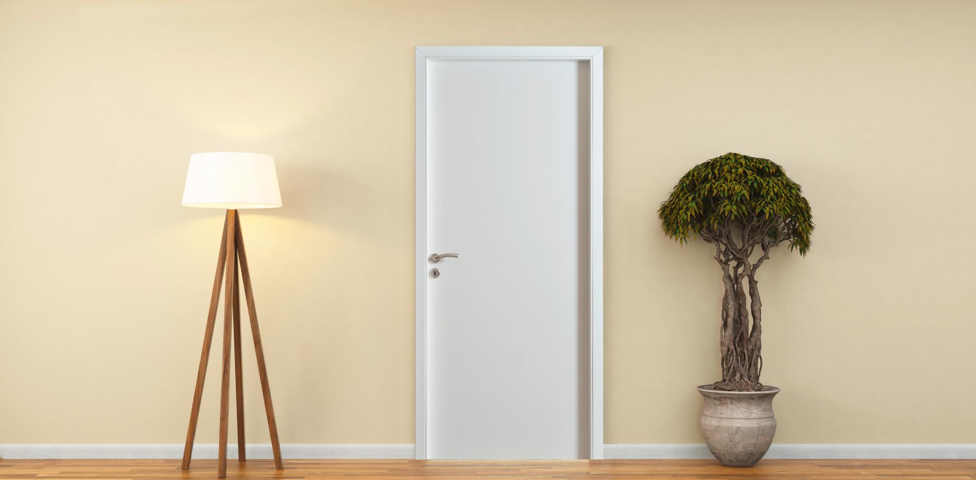 porte d'intérieur en bois zao