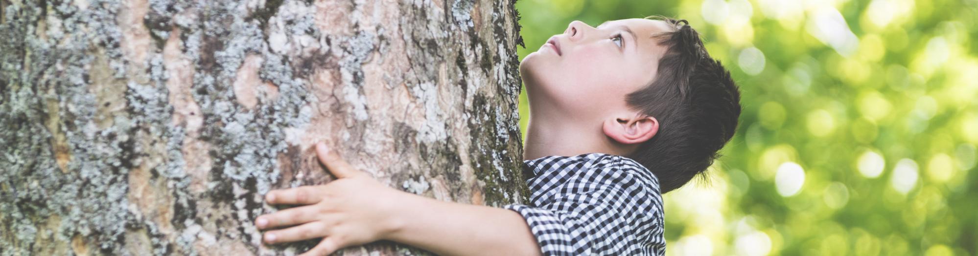 Jeune garçon qui serre un arbre contre lui en regardant vers le haut